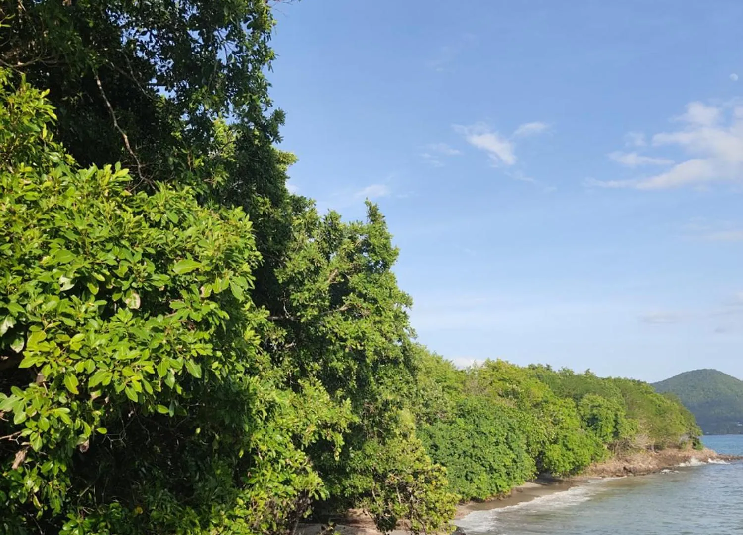 Exceptionnel T3 Vue Mer Village Vacances Sainte Luce Martinique
