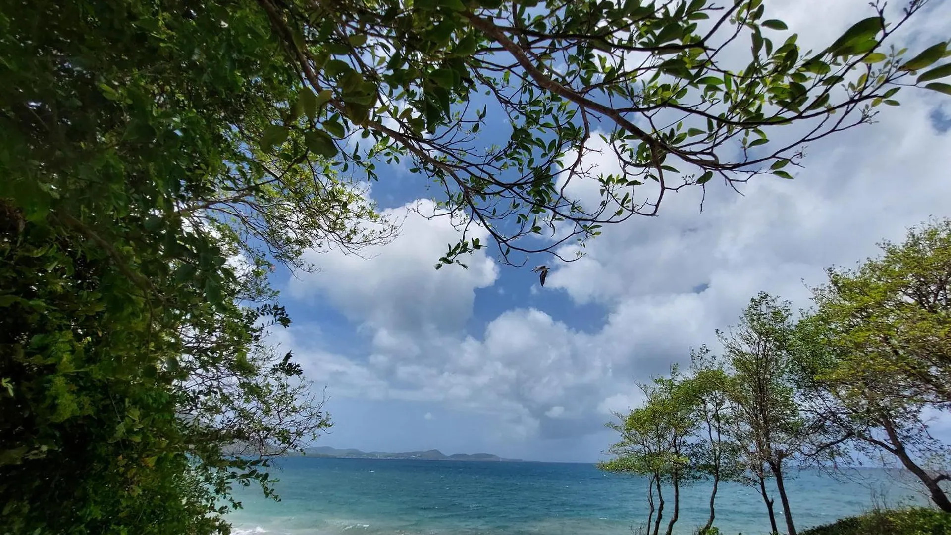 Lejlighed Exceptionnel T3 Vue Mer Village Vacances Sainte Luce